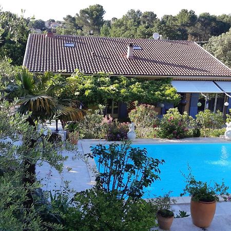 Villa La Licorne Piscine Privee, Jacuzzi, Massages, Tennis, Golf A 9Km Belcodene Dış mekan fotoğraf